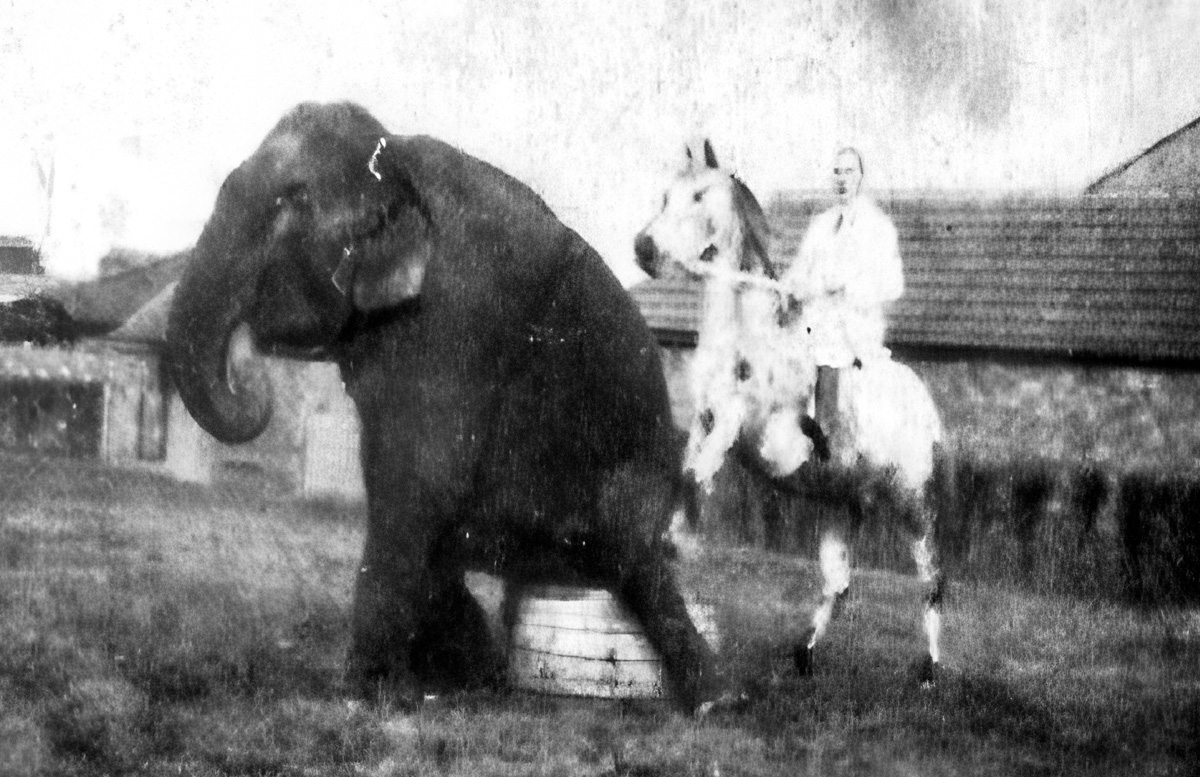 circus2