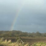 Is There Gold at the End of the Rainbow?