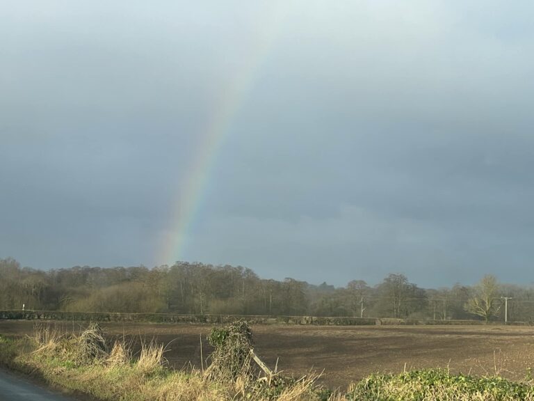 Is There Gold at the End of the Rainbow?