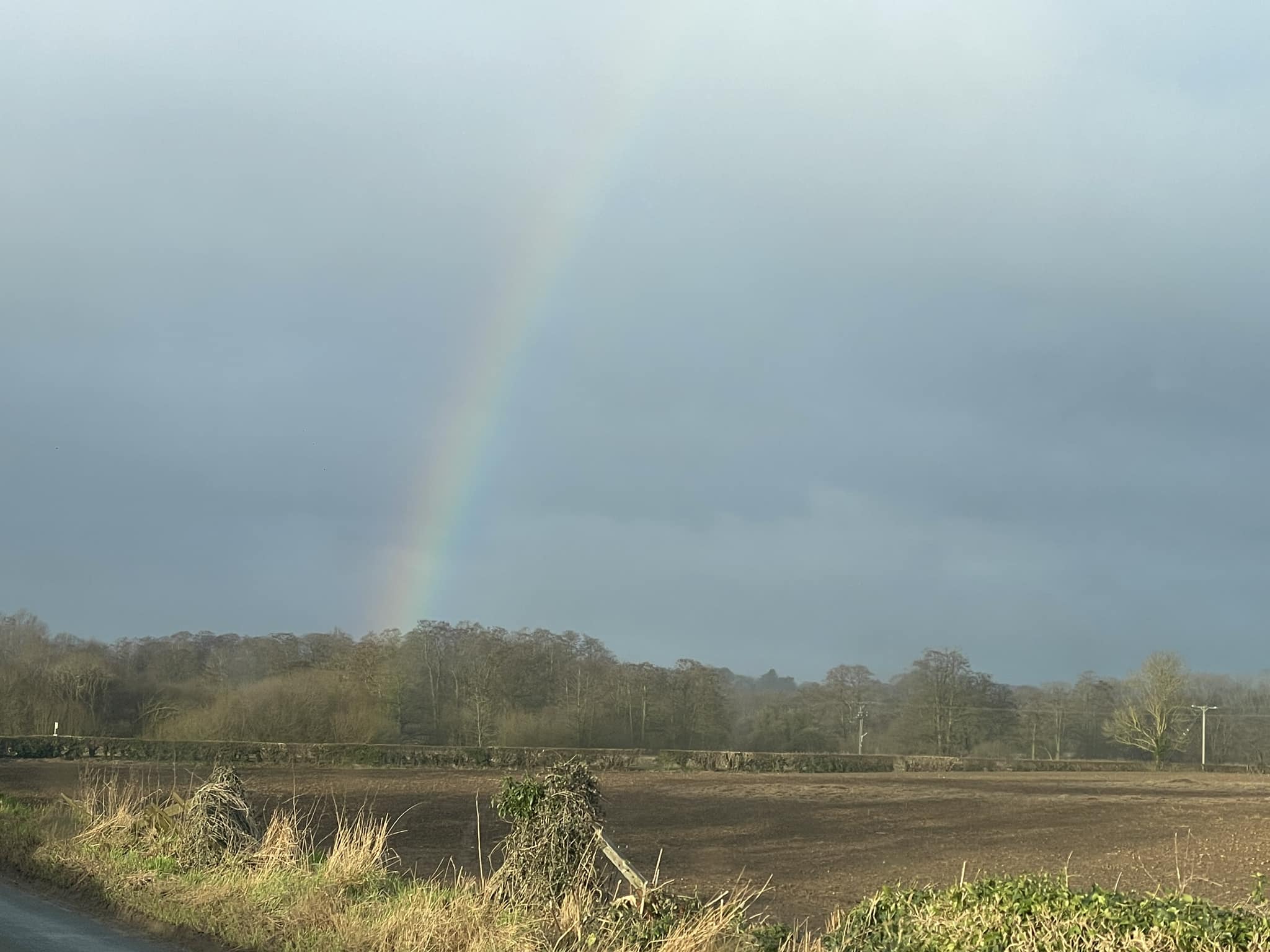 Is There Gold at the End of the Rainbow?