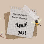 April 2026 Roundup