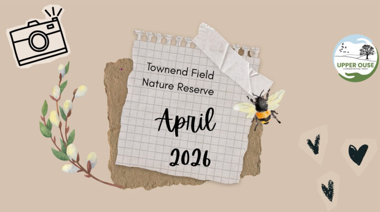 April 2026 Roundup