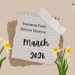 March 2026 Roundup